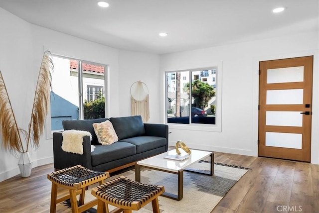 living room with plenty of natural light and light hardwood / wood-style floors