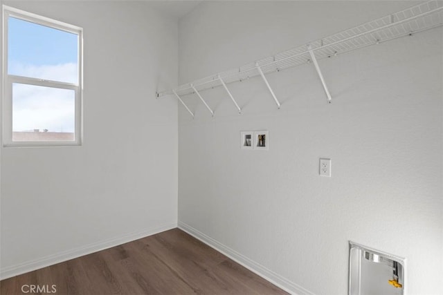 washroom featuring a healthy amount of sunlight, dark wood-type flooring, and hookup for a washing machine