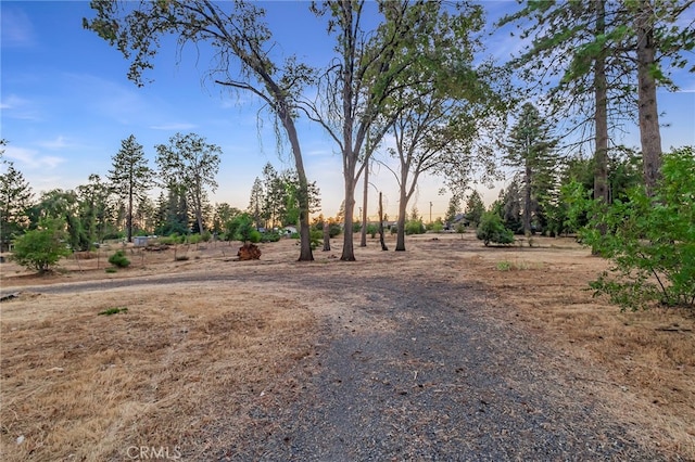 8461 Skyway, Paradise CA, 95969 land for sale