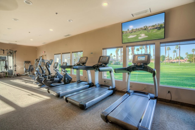 gym with carpet flooring and plenty of natural light