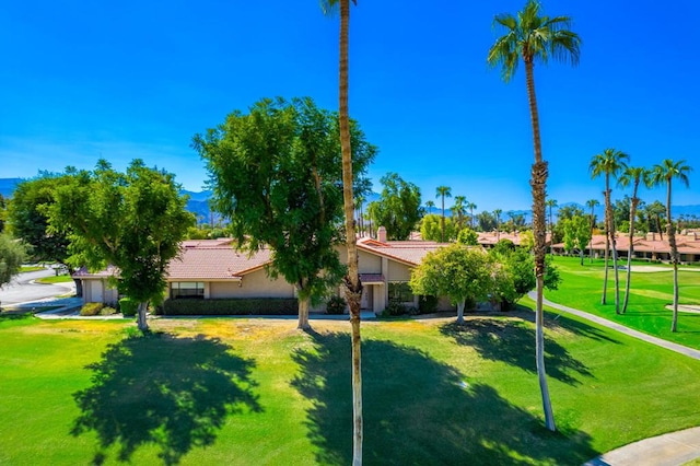 view of front of house with a front yard