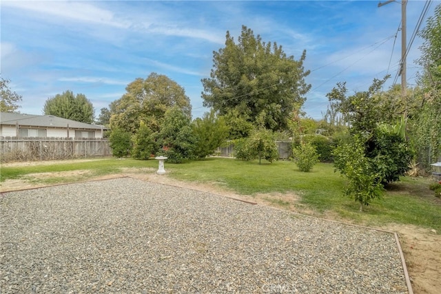 view of yard featuring a patio