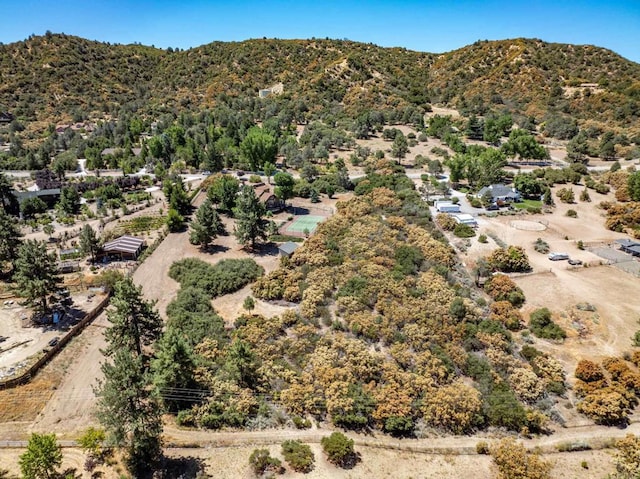 birds eye view of property with a mountain view