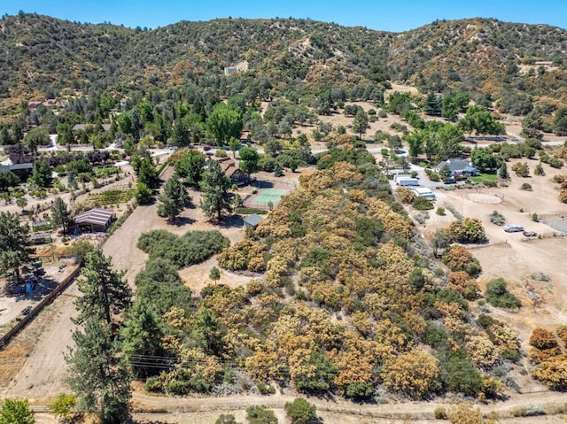 drone / aerial view featuring a mountain view