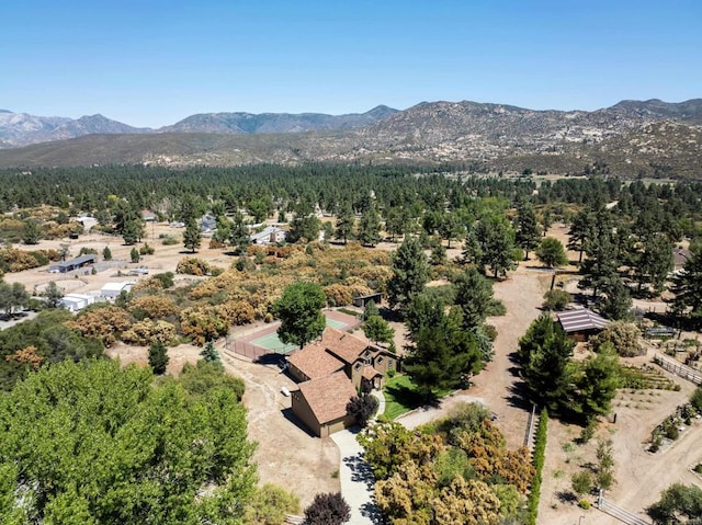 birds eye view of property featuring a mountain view