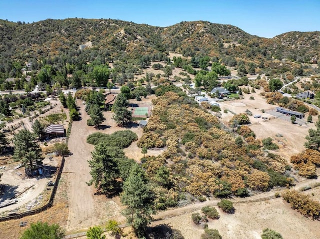 drone / aerial view featuring a mountain view