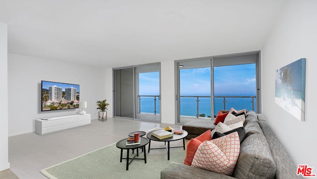 living room featuring floor to ceiling windows