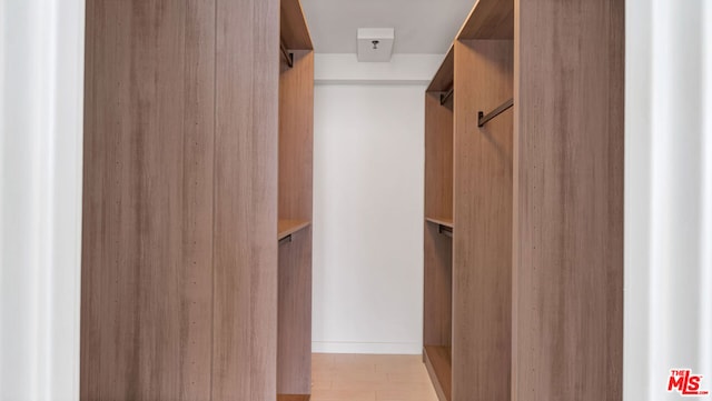 spacious closet featuring light wood-type flooring