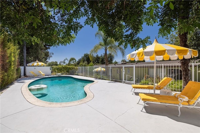 view of swimming pool featuring a patio