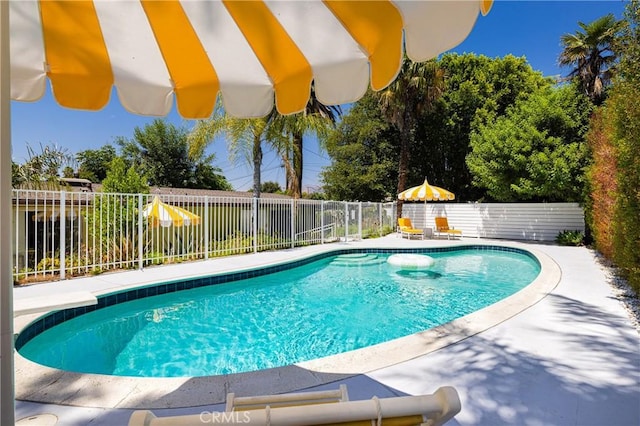 view of swimming pool with a patio area