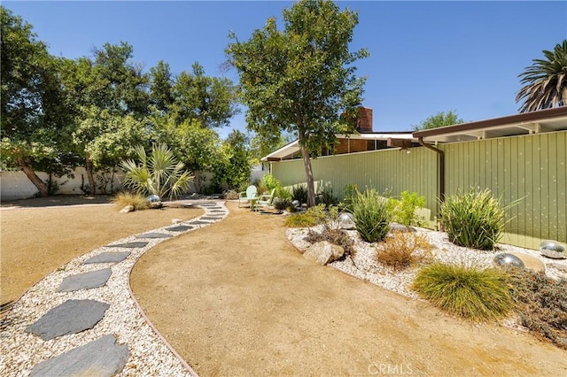 view of yard featuring a patio area