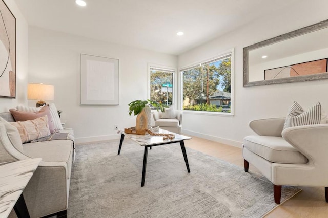 living room featuring light wood-type flooring