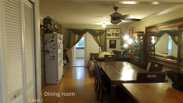 dining area with ceiling fan, a textured ceiling, wood finished floors, and ornamental molding