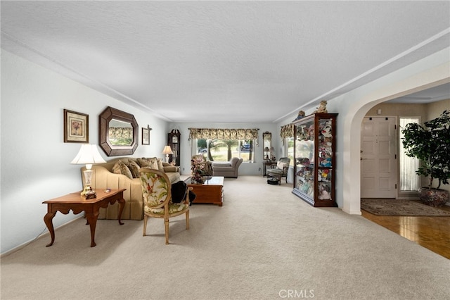 living room featuring carpet floors and a textured ceiling