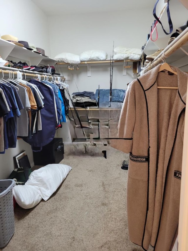 walk in closet featuring carpet floors