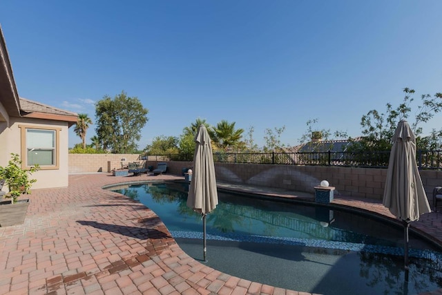 view of swimming pool with a patio area