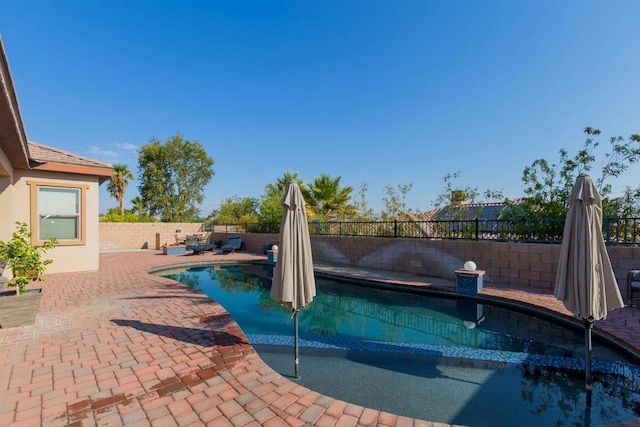 view of swimming pool featuring a patio area