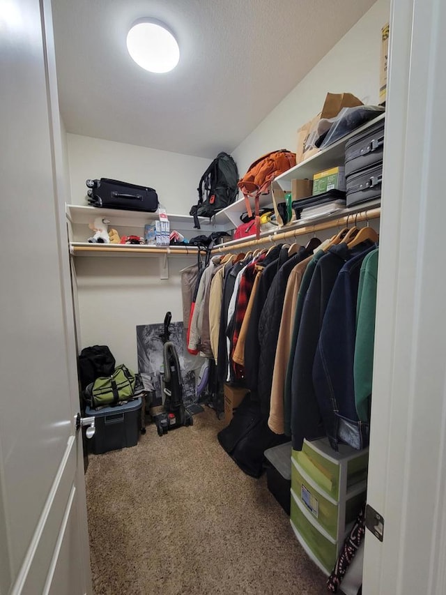 walk in closet with carpet flooring