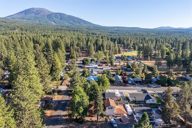 birds eye view of property featuring a mountain view