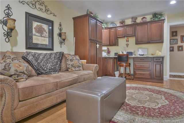 living room featuring light hardwood / wood-style floors