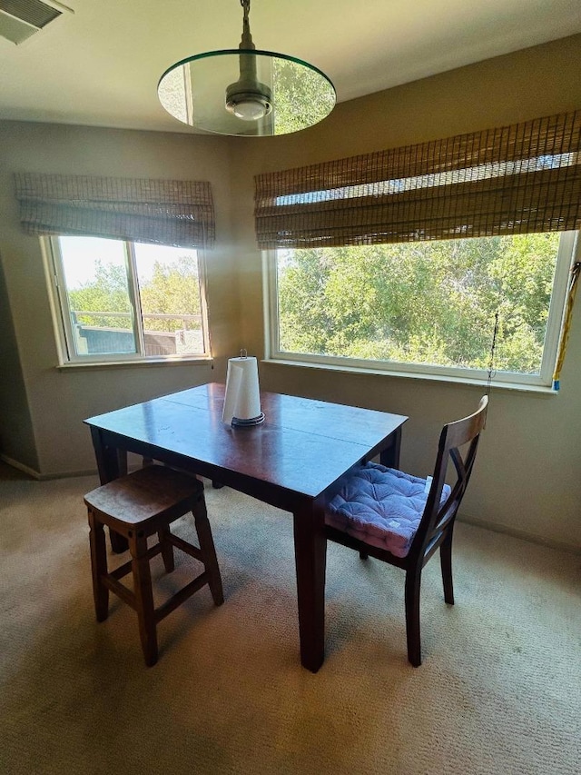 carpeted dining area with a healthy amount of sunlight