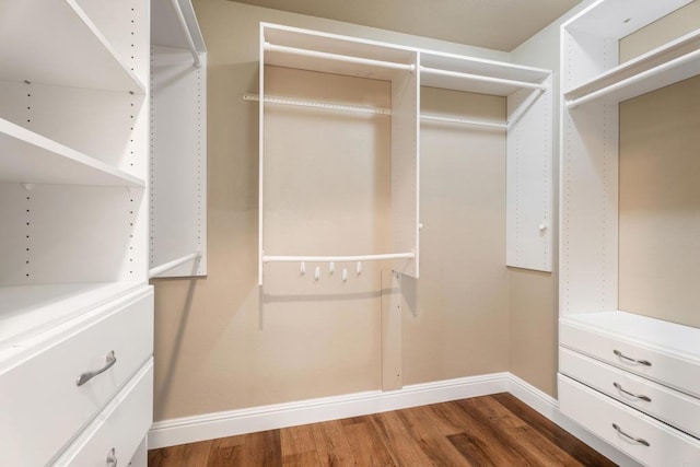 spacious closet with dark hardwood / wood-style flooring