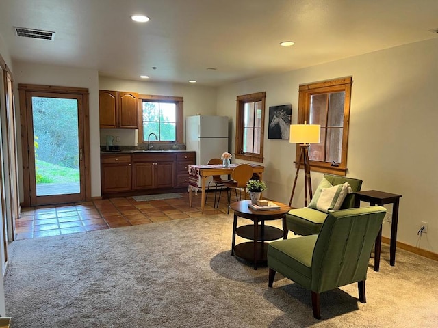 sitting room with light carpet and sink