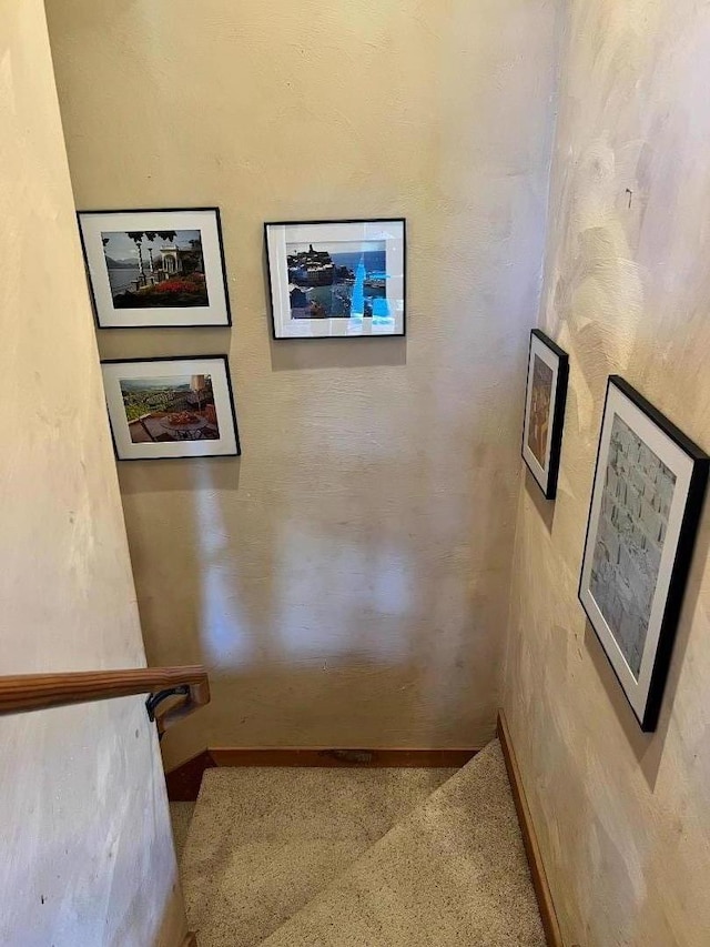 stairs featuring carpet flooring