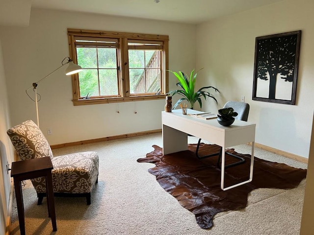 view of carpeted home office