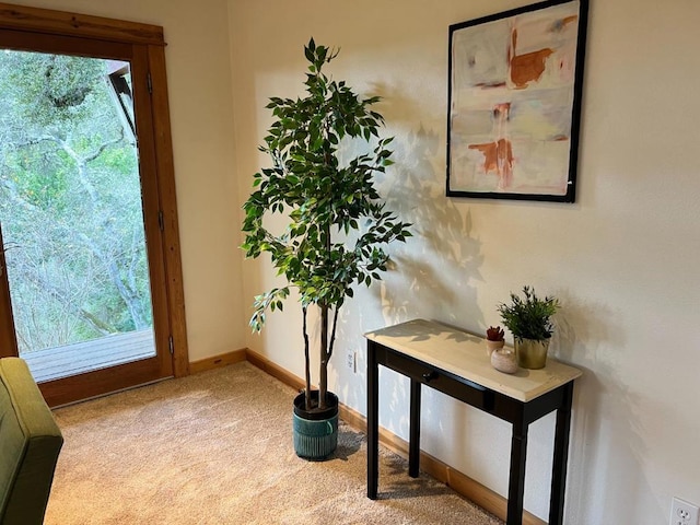 doorway featuring a wealth of natural light and light colored carpet