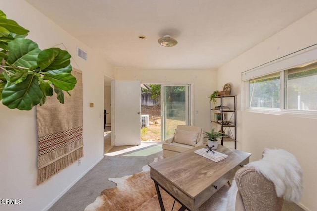 living area with carpet and a wealth of natural light