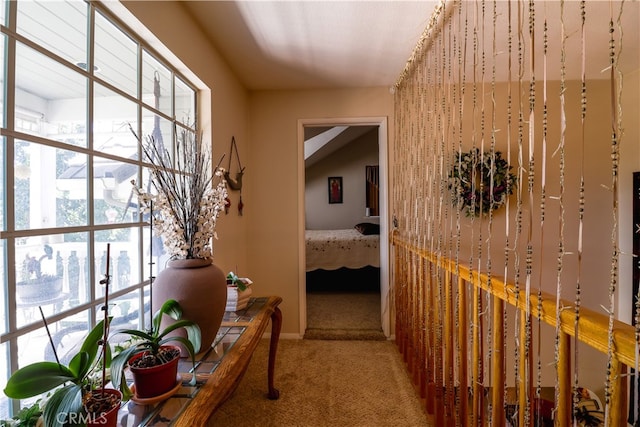 hall featuring carpet floors