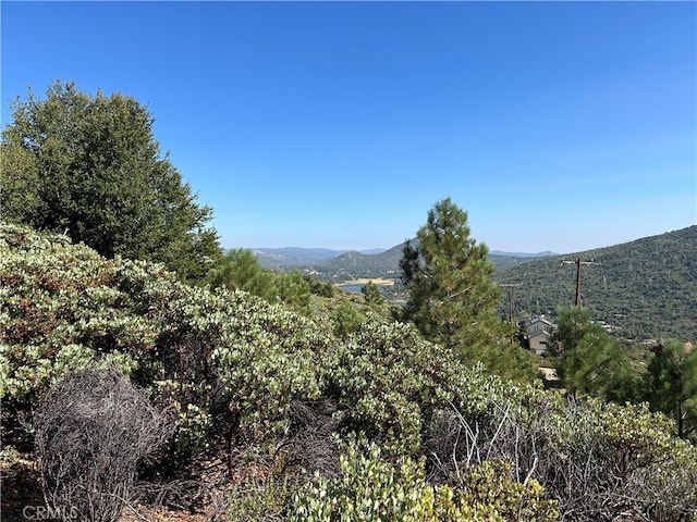 0 N Peak Way, Julian CA, 92036 land for sale