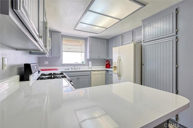 kitchen with white appliances, a peninsula, a sink, gray cabinetry, and light countertops