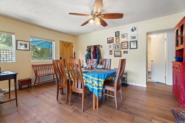 dining space with ceiling fan and hardwood / wood-style flooring