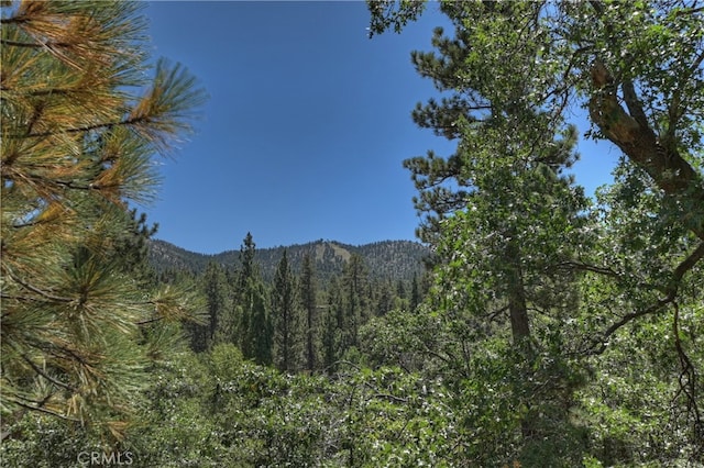 mountain view with a forest view