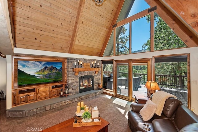 43305 Sand Canyon Rd, Big Bear Lake, CA 92315 - photo 18