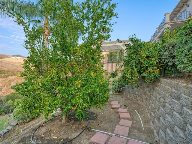 view of yard with a balcony