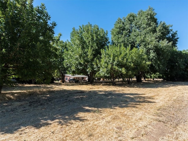 view of nature with a rural view