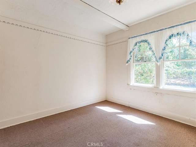 empty room featuring carpet flooring