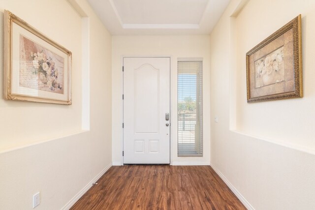 foyer entrance with a raised ceiling and dark hardwood / wood-style floors