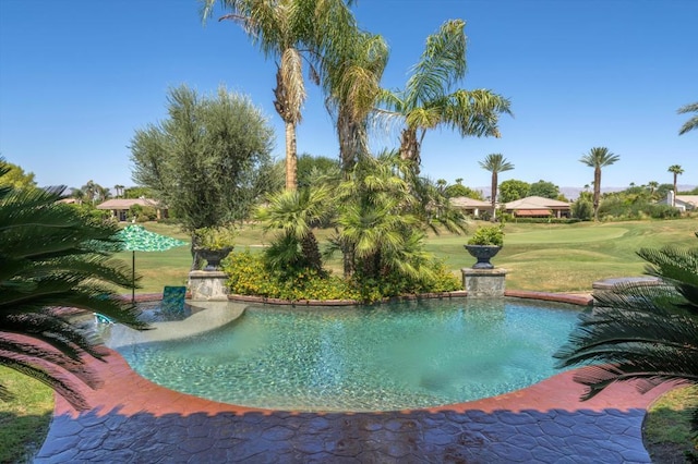 view of pool featuring a yard