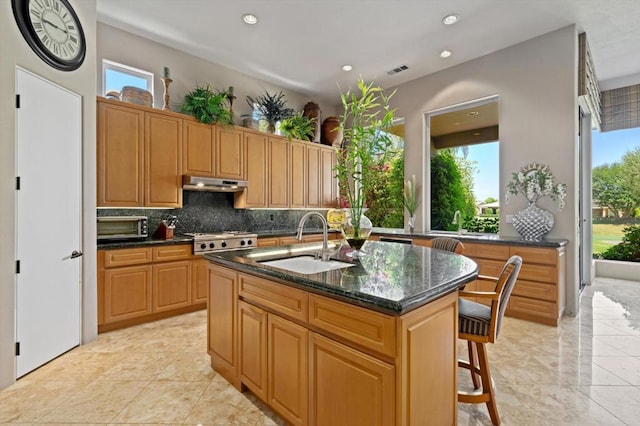 kitchen with decorative backsplash, a healthy amount of sunlight, and a kitchen island with sink