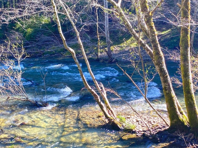 view of water feature