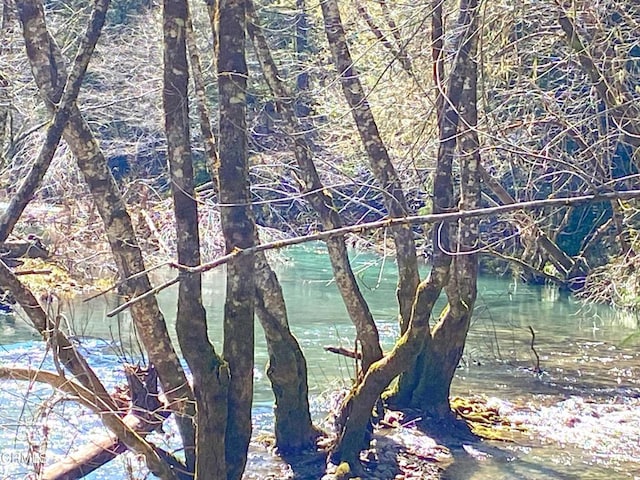 view of local wilderness featuring a water view