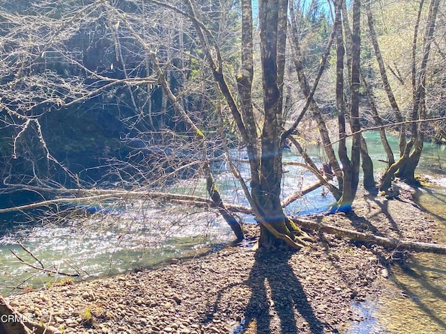 view of local wilderness featuring a water view