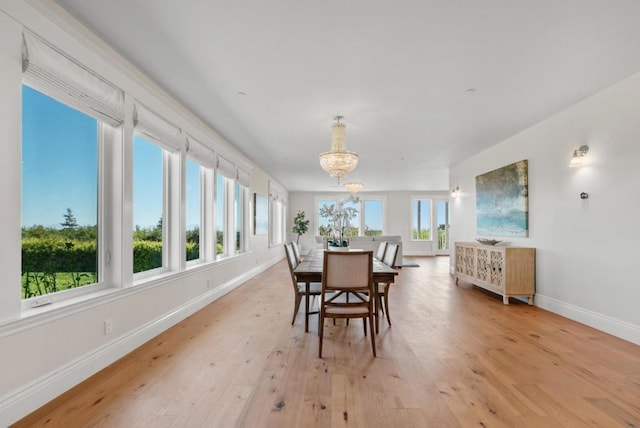 dining room with a chandelier, light hardwood / wood-style floors, and plenty of natural light