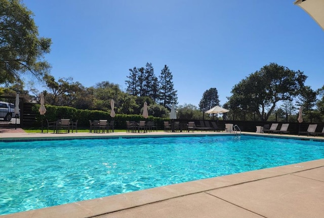 view of swimming pool