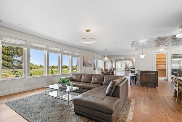 living room featuring light hardwood / wood-style floors