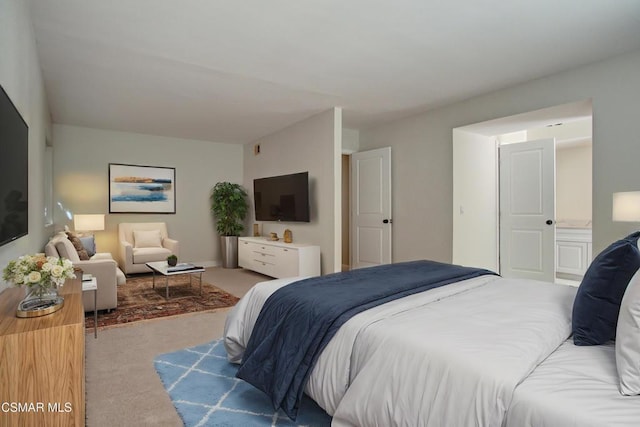 bedroom with carpet flooring